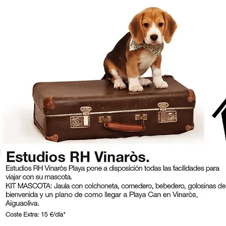 Apartamento Estudios Rh Vinarós